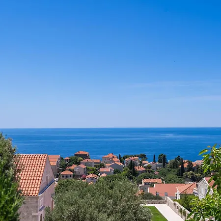 Ranieri Kono Dubrovnik